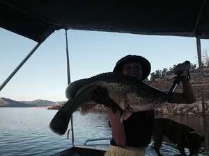 TACKLE WORLD (Fish & Hunt Australia) Pic 3 - Murry cod I caught at wyangala dam on Australia day 80cm and I released it have caught 15 cod up there this year biggest one my dad got 89cm great fun catching them