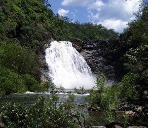 Tony's Tropical Tours Pic 2