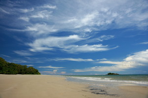 Tony's Tropical Tours Pic 3 - Cape Tribulation Tonys Tropical Tours