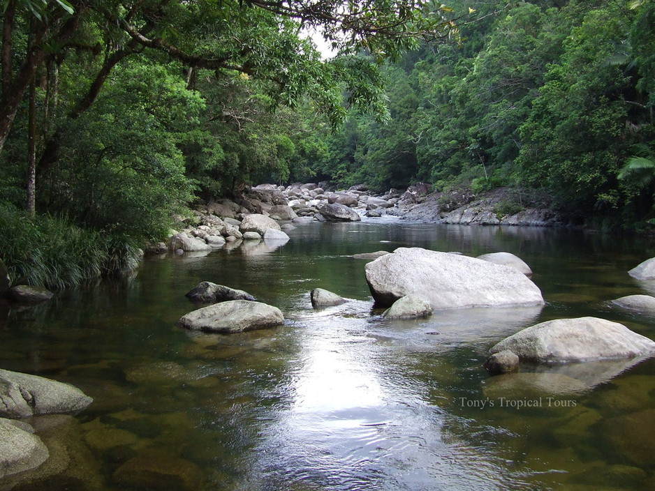 Tony's Tropical Tours Pic 1 - Mossman Gorge Day tour with Tonys Tropical Tours