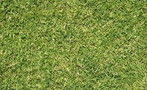 Turf NT Pic 4 - Greenlees Park 10 m2