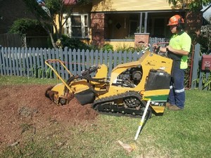 D & C Tree Services Pty Ltd Pic 5