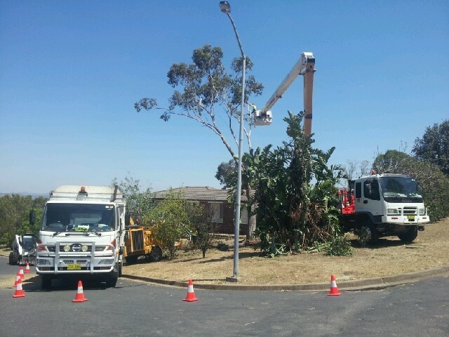 D & C Tree Services Pty Ltd Pic 1