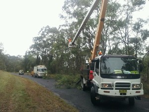 D & C Tree Services Pty Ltd Pic 3