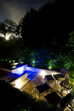 Soul Havens Landscape Design Pic 3 - Courtyard water feature lighting