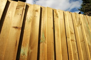 V.I.P Home Services, Fencing and Home Maintenance Pic 4 - Paling Fencing Various styles