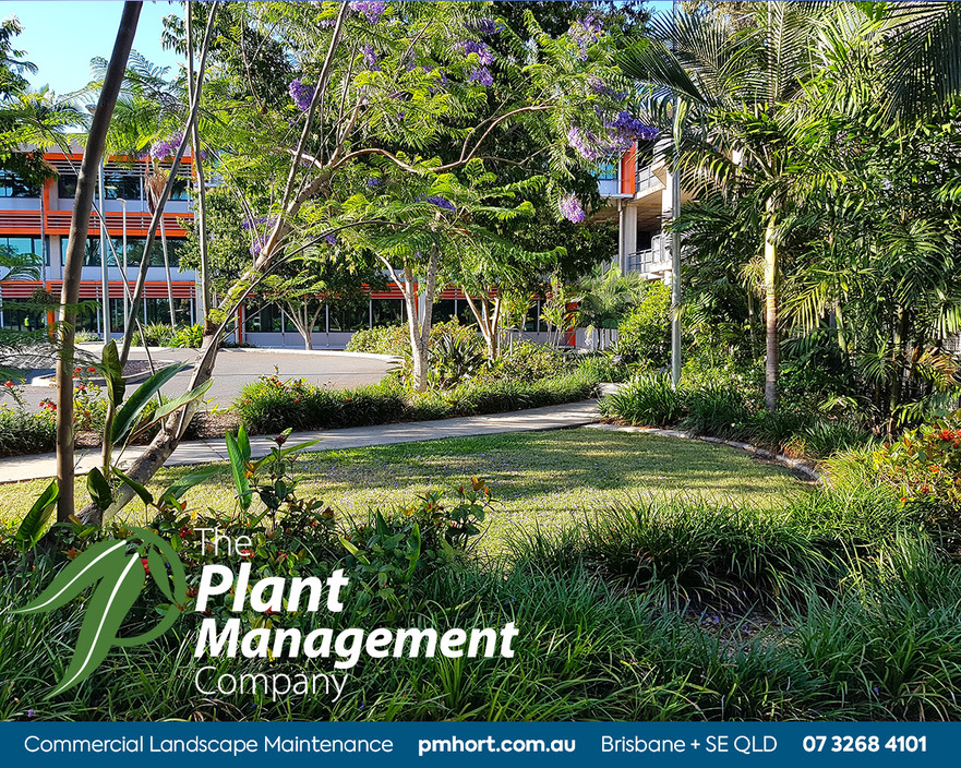 The Plant Management Company Pic 1 - Commercial Landscape Maintenance Brisbane The Plant Management Company