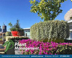 The Plant Management Company Pic 5 - Commercial Landscape Maintenance Brisbane The Plant Management Company