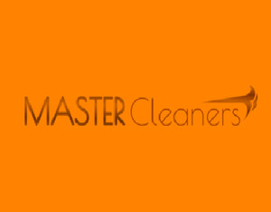 Master Cleaners Pic 2