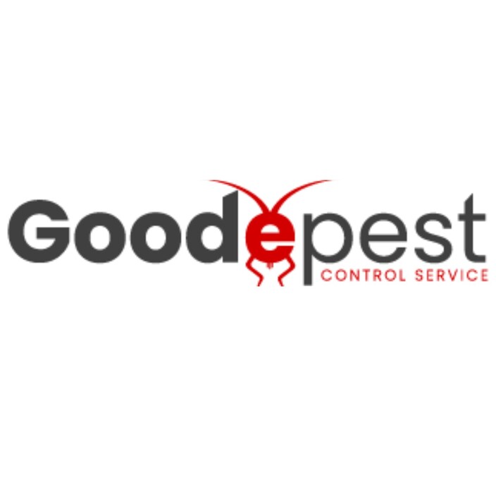 Goode Pest Control Brisbane Pic 1