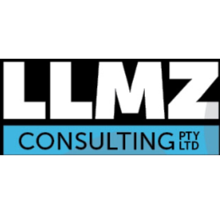 LLMZ Consulting Pic 2