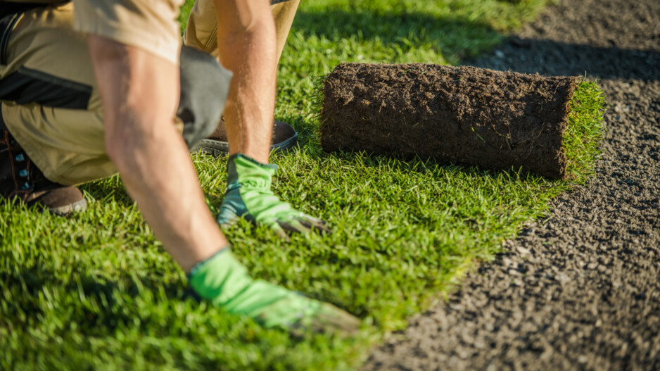 Browns Turf & Landscaping Pic 1