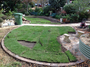 Evergreen Gardens Pic 3 - New turf for warrawee cottage garden