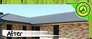 David Challen's Painting & Decorating Pic 5 - Banyo Roof Repaint