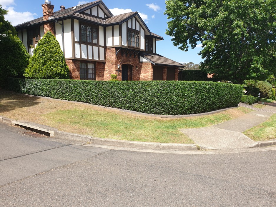 Top Dog Lawns Pic 2 - Clients hedge after Top Lawns after maintaining it