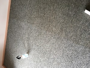 Harbour Carpet Cleaning Pic 2