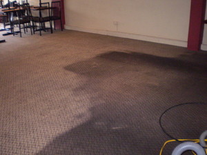 Drymaster Carpet Cleaning Pic 4 - Carpet Cleaning