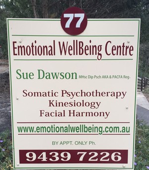 Nimble Solutions - Sue Dawson Pic 2 - I am a clinical member of PACFA and level 3 Australian Kinesiology Association