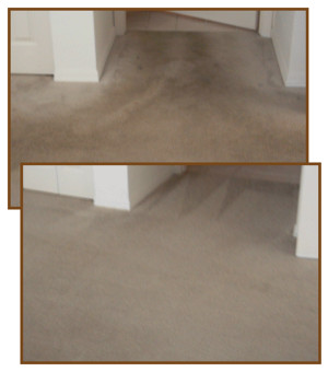 Chemdry Glow Carpet & upholstery cleaning Pic 4