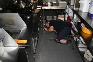 E&T Group Pic 3 - General inspection for German Cockroaches in a Commercial Kitchen