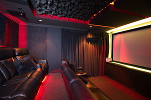 Rogue Home Cinema Pic 2