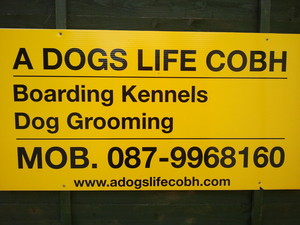 A DOG'S LIFE COBH CORK.Boarding kennels Pic 4