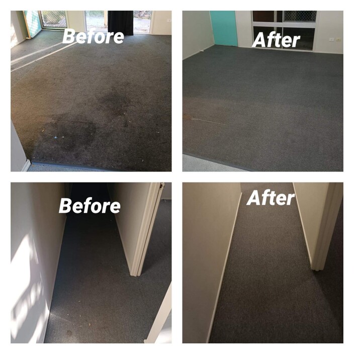 Ipswich Steam Clean Pic 1 - Carpet cleaning ipswich