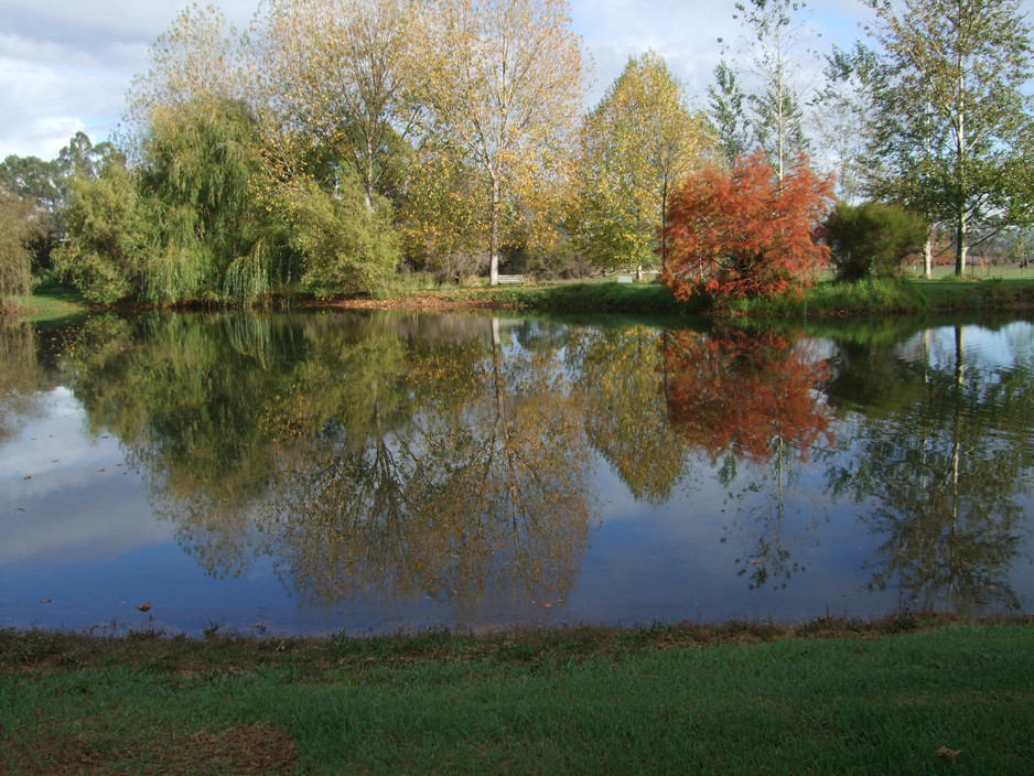 Moss Brook Bed & Breakfast Pic 2 - One of our house lakes with reflections at Moss Brook Bed Breakfast Nannup WA