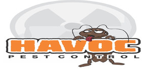 Havoc Pest Control Pic 3