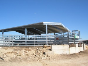 Tatiara Industrial Repairs Pic 4 - Cattle Yard Cover Over Existing Yards