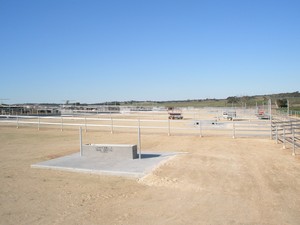 Tatiara Industrial Repairs Pic 3 - Galv Feedlot Yards for Cattle