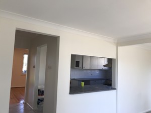 Sydney Painting Experts Pic 2