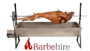 Barbehire Pic 4