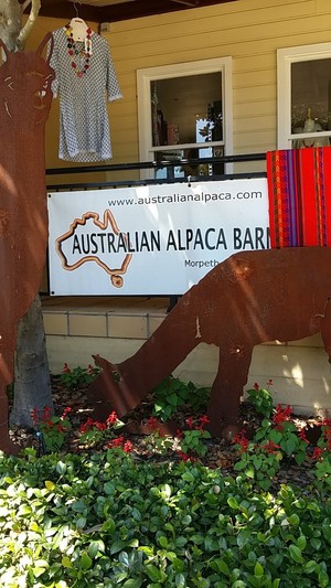 Australian Alpaca Barn Pic 4 - Australian Alpaca Barn at Hunter Valley Gardens