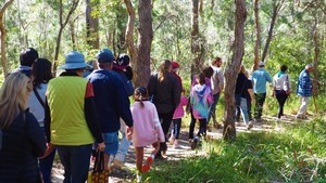 Yarrawarra Aboriginal Cultural Centre Pic 2