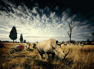 Urs Buhlman Photography Pty Ltd Pic 2 - Rhino Western Plains Zoo