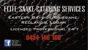 Snake Catcher & Removal Brisbane - Elite Snake Catching Services Pic 2