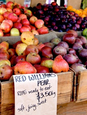 Orange Grove Organic Food Markets Pic 5