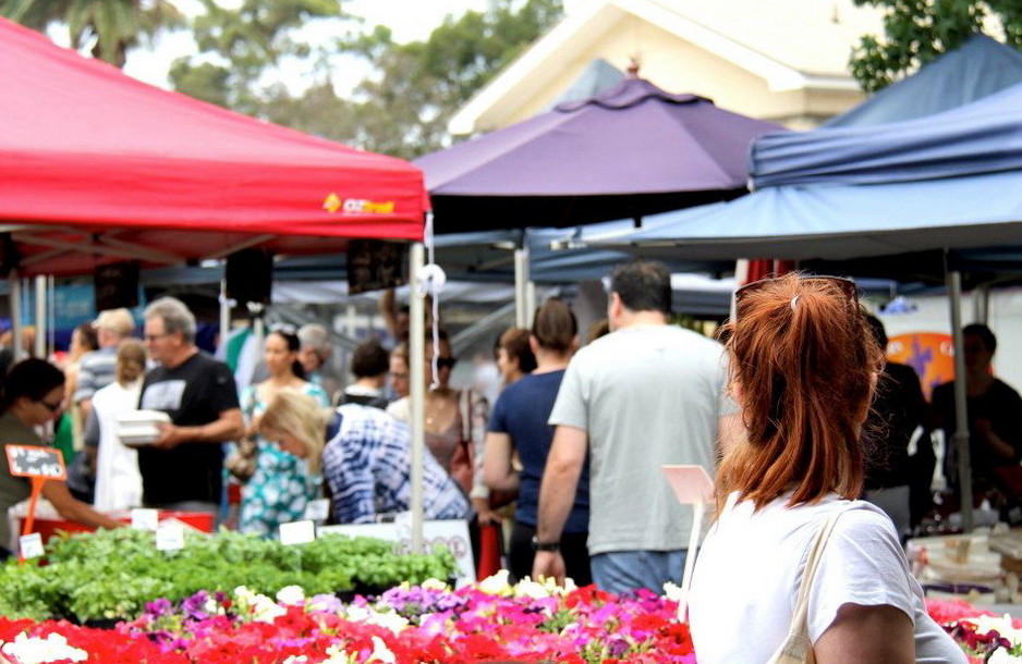 Orange Grove Organic Food Markets Pic 1