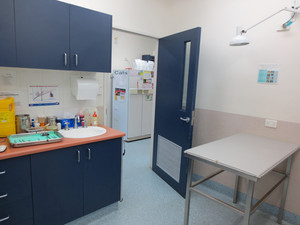 AdelaideVet & Emergency Trinity Gardens Pic 4 - One of our private consultation rooms