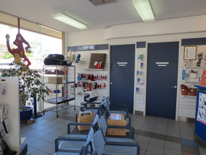 AdelaideVet & Emergency Trinity Gardens Pic 5 - Waiting room for our visitors