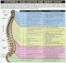 Croydon Family Chiropractic Pic 2