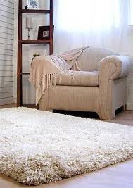 Devine Complete Rug Care Pic 4 - perfect end result