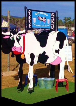 Buck a Bull Western Party Hire Pic 4 - BUTTERCUP THE MILKING COW CONTEST