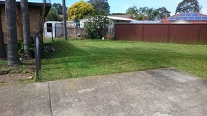 Fair Dinkum Lawn And Garden Care Pic 3 - After