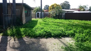 Fair Dinkum Lawn And Garden Care Pic 2