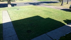 Fair Dinkum Lawn And Garden Care Pic 4 - Straight Edges