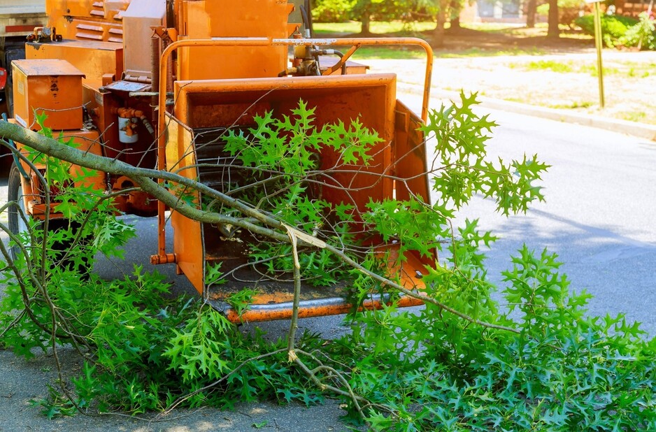 Tree Removal Experts Ballarat Pic 1