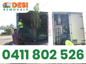 Desi Removals Pic 5