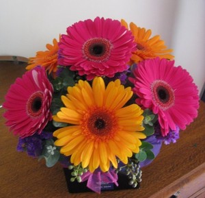 Townsville Wedding Flowers & Designs Pic 4 - Bright Gerberas arrangement 4000